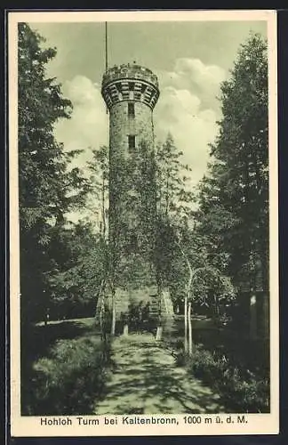 AK Kaltenbronn, Hohloh Turm