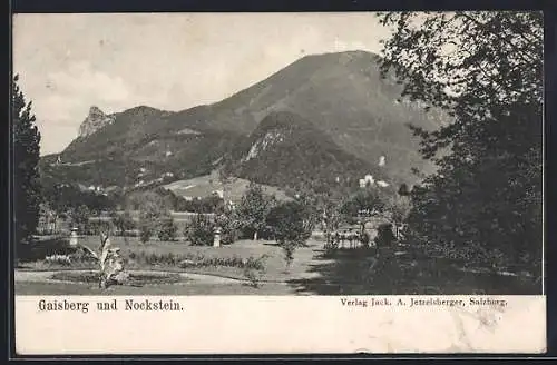 AK Gaisberg, Panorama mit Nockstein