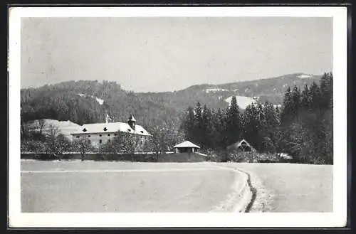 AK St. Leonhard im Lavanttal, Schloss Lichtengraben im Schnee