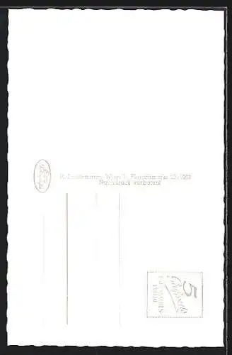 AK Raabs a. d. Thaya, Ortspartie mit Schloss