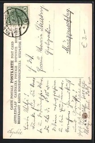 AK Wien, Reichsrathstrasse mit Rathaus