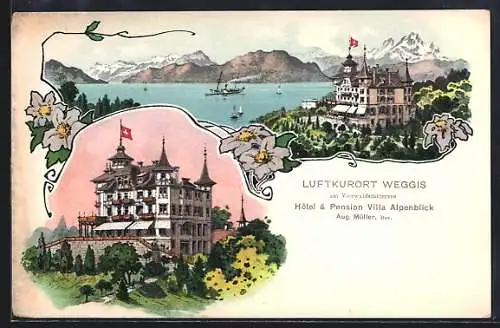 AK Weggis am Vierwaldstättersee, Hotel & Pension Villa Alpenblick, Panorama