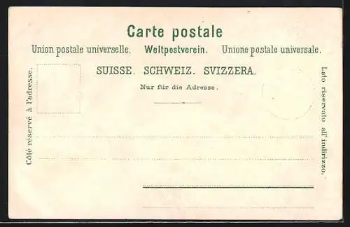 AK Interlaken, Teilansicht und die Jungfrau, Rosen, Passepartout