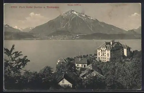 AK Gunten a. Thunersee, Park Hotel mit Blick zum Niesen