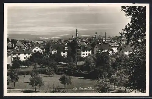 AK Frauenfeld, Blick über die Dächer