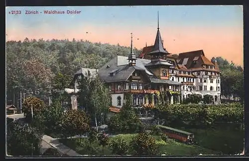 AK Zürich, Hotel Waldhaus Dolder mit Garten