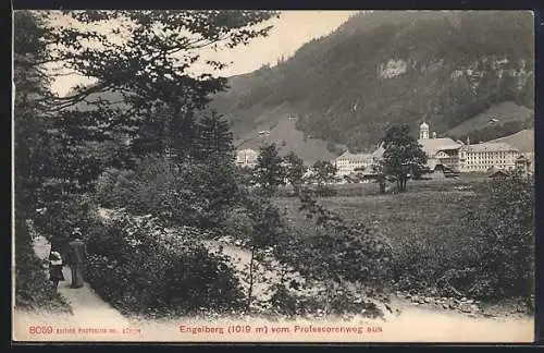 AK Engelberg, Blick vom Professorenweg aus