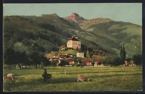 AK Werdenberg, Schloss mit Blick auf den Margelkopf