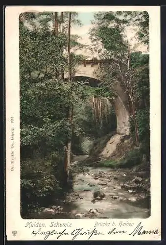 AK Heiden, Brücke im Wald