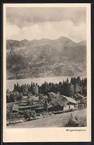 AK Beatenberg, Morgenberghorn, Ortsansicht mit Bergpanorama