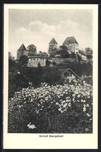 AK Burgdorf, Blick auf das Schloss