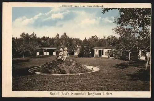 AK Jungborn i. Harz, Kuranstalt Rudolf Just, Teilansicht aus dem Herrenluftpark