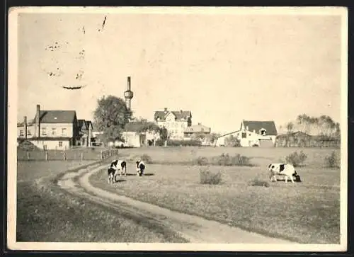 AK Friedensau, Blick von Osten