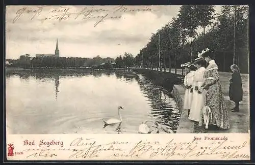 AK Bad Segeberg, See Promenade