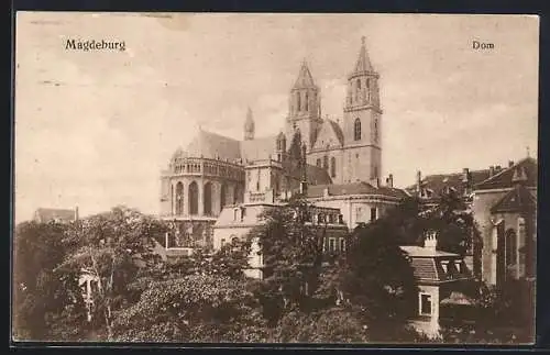 AK Magdeburg, Der Dom im Stadtkern