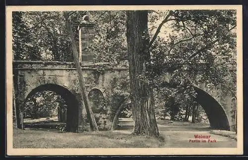 AK Weimar / Thüringen, Partie im Park