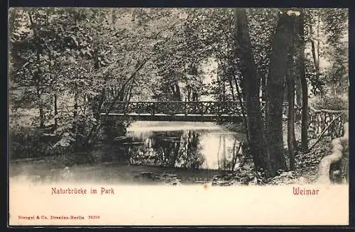 AK Weimar / Thüringen, Naturbrücke im Park