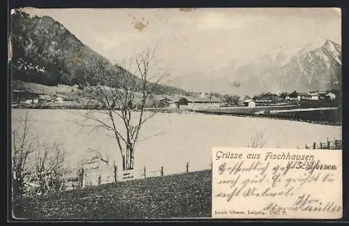 AK Fischhausen b. Schliersee, Seepartie mit Blick auf die Berge