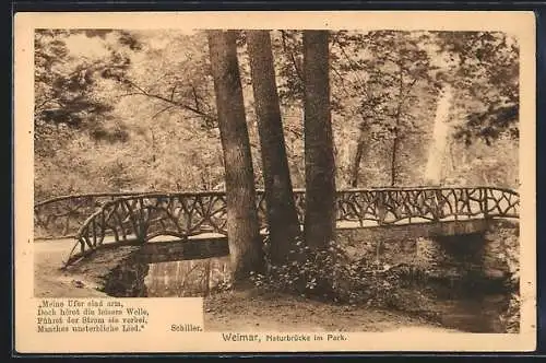 AK Weimar / Thüringen, Naturbrücke im Park