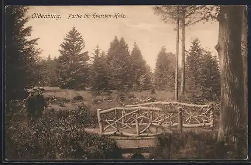 AK Oldenburg / O., Partie im Eversten-Holz