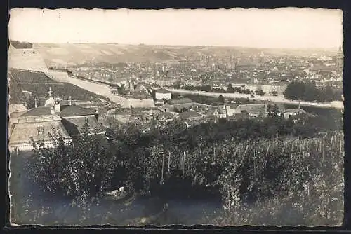 AK Würzburg, Blick von den Weinbergen