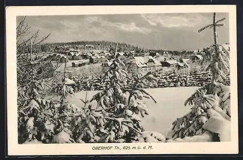 AK Oberhof /Th., Ortsansicht im Winter