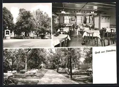 AK Ortenberg / Offenburg, Gasthaus zum Ochsen