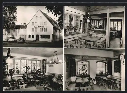 AK Säckingen /Rh., Gasthaus Kater Hiddigeigi