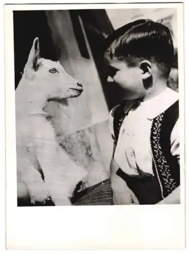 Fotografie Krack, Knabe mit Zicklein seinem tierischem Freund 1943