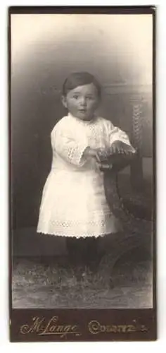 Fotografie M. Lange, Colditz, Porträt eines Kleinkindes in weissem Kleid