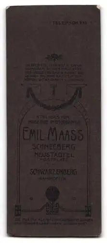 Fotografie Emil Maass, Schneeberg, Postplatz, Frau mit Buch