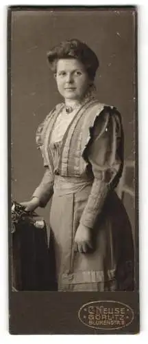 Fotografie C. Neuse, Görlitz, Blumenstr. 8, Dame im eleganten Kleid