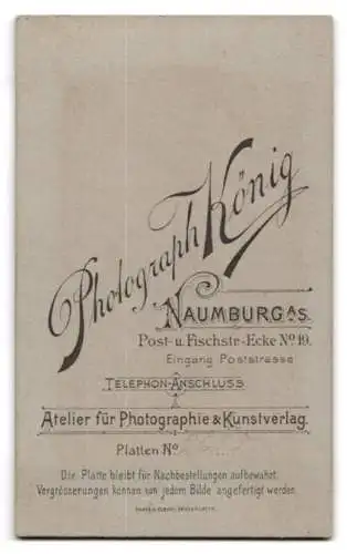 Fotografie Carl König, Naumburg, Poststrasse 19, Damenporträt mit Blumen