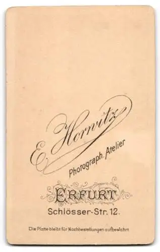 Fotografie Atelier Horwitz, Erfurt, Schlösserstrasse 12, Porträt eines jungen Mannes mit Fliege