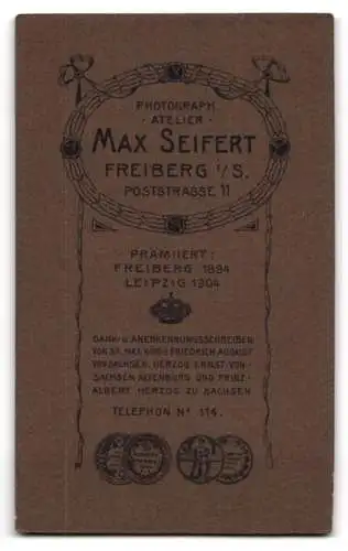 Fotografie Max Seifert, Freiberg, Poststrasse 11, Junge Frau in elegantem Kleid