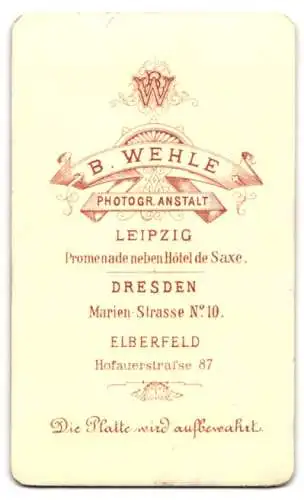 Fotografie B. Wehle, Elberfeld, Hofauerstrasse 87, Porträt eines jungen Mannes