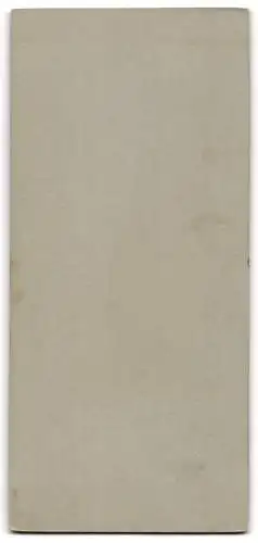 Fotografie Atelier M. Leyde, Dresden, Reisewitzerstrasse, Elegante Dame mit Buch