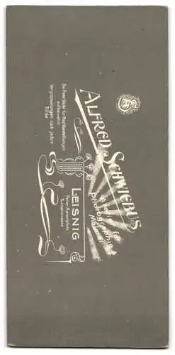 Fotografie Alfred Schwiebus, Leisnig, Peter-Apian-Platz, Porträt eines eleganten Herrn