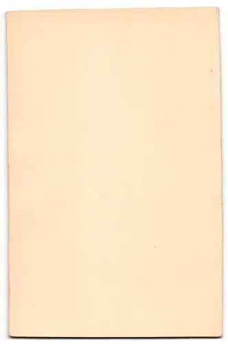 Fotografie Heinrich Cordes, Hildesheim, Zingel 36, Paar im eleganten Gewand