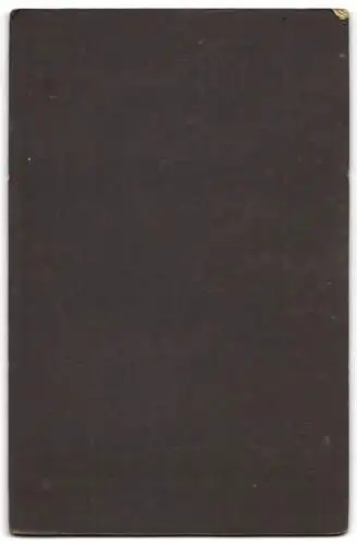 Fotografie H. Schönemann, Neuhaldensleben, Hohenzollernstr. 25, Porträt eines Paares