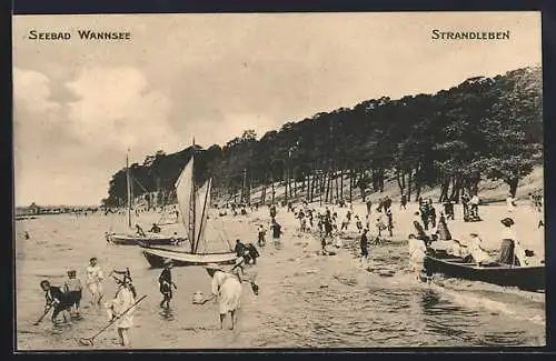 AK Berlin-Wannsee, Strandleben