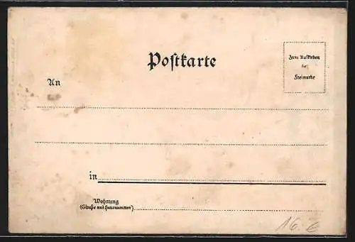 Lithographie Eisenach, Die Wartburg, Lutherdenkmal, Totalansicht