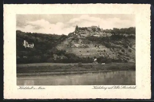 AK Karlstadt, Karlsburg mit Villa Steinbrück