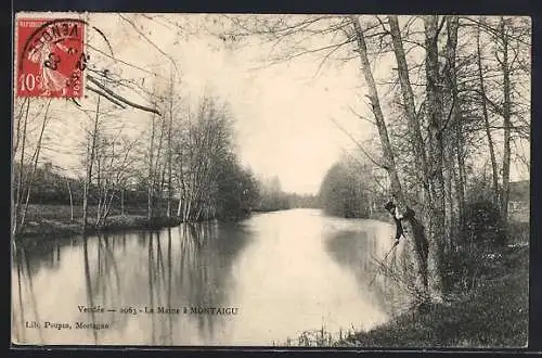 AK Montaigu, La Maine bordée d`arbres en hiver