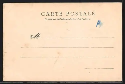 AK Mortagne-sur-Sèvre, Vue générale