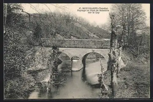 AK Mouchamps, Paysage au Pont de Boissière sur le Lay