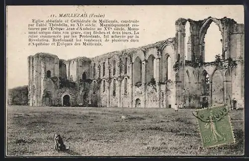 AK Maillezais, Église abbatiale et Cathédrale, vue des ruines imposantes