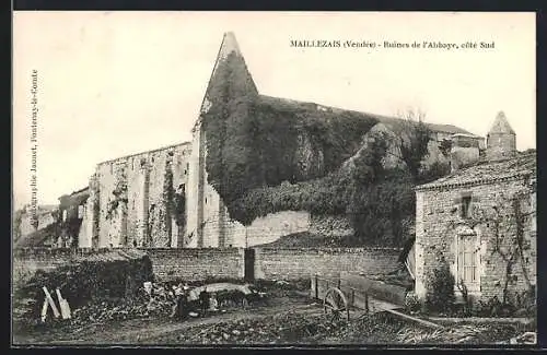 AK Maillezais, Ruines de l`Abbaye, côté Sud