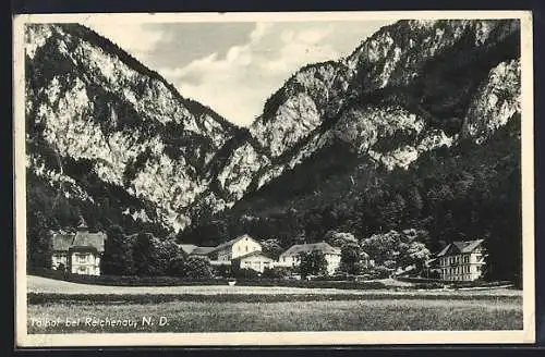 AK Reichenau /N. D., Hotel Talhof mit Bergmassiv