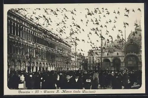 AK Venezia, Piazza S. Marco-volo Piccioni